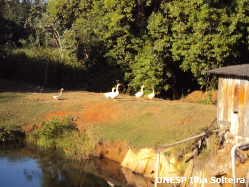 aula_15ago_2011 (13).JPG